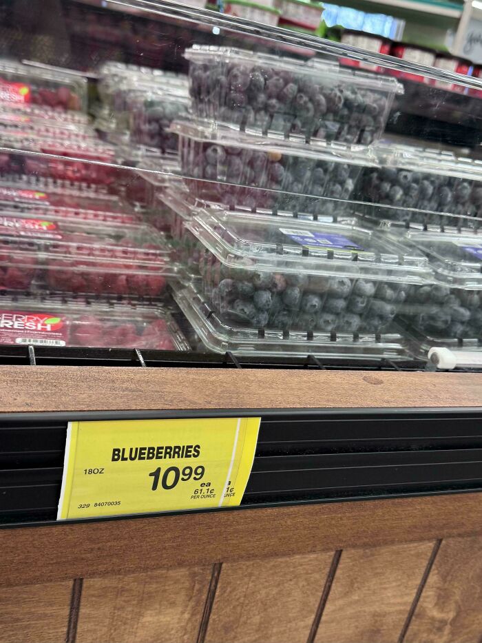A container of blueberries priced at $10.99, illustrating the horrid and sad world we're living in.