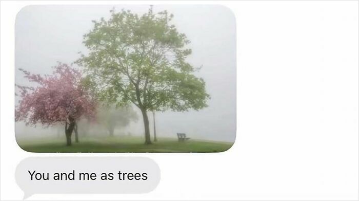 A screenshot of a text message with an image of two trees in the fog, captioned You and me as trees.