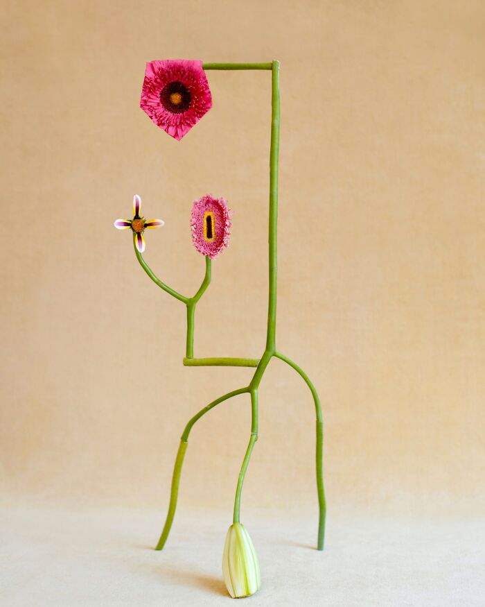 Jennifer Latour photo displays an intricate flower composition, a green abstract figure with pink flowers.