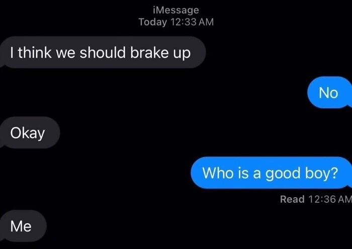 Screenshot of text messages, capturing the internet at its strangest.