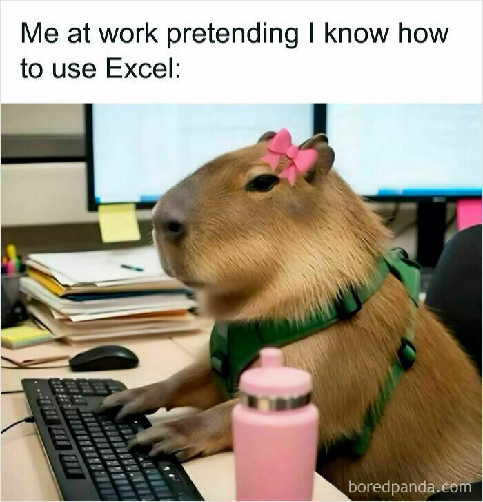 A capybara wearing a pink bow and harness sits at a computer, pretending to know Excel. A relatable work meme.