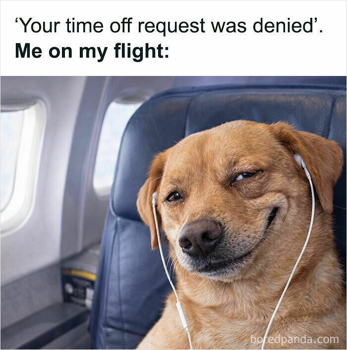 A funny work meme featuring a winking dog on a plane, after a time off request was denied, relatable to work struggles.