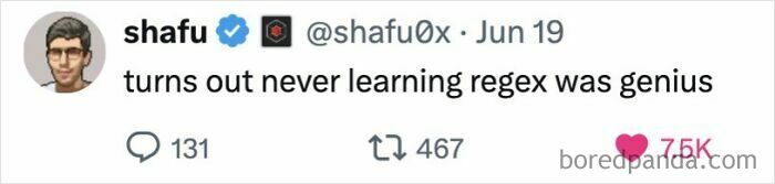 Funny programmer meme stating that never learning regex was a genius move.