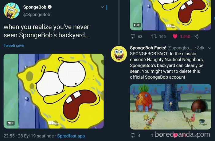 Spongebob's account is corrected about his backyard on social media, showing what happens when people lie.