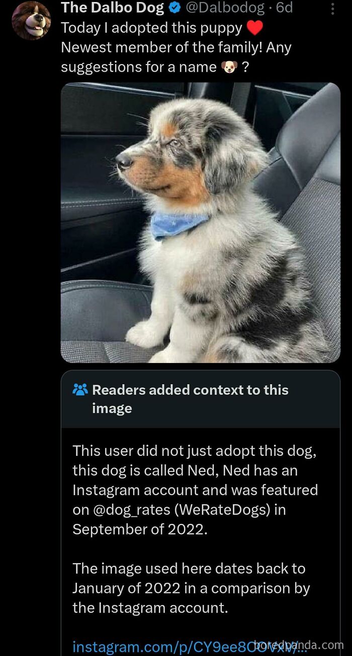 Screenshot of a Twitter post with community notes, debunking a user's lie on social media about adopting a puppy.