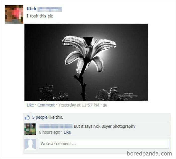 A social media post with a person lying about taking a photo that is actually copyrighted by someone else.