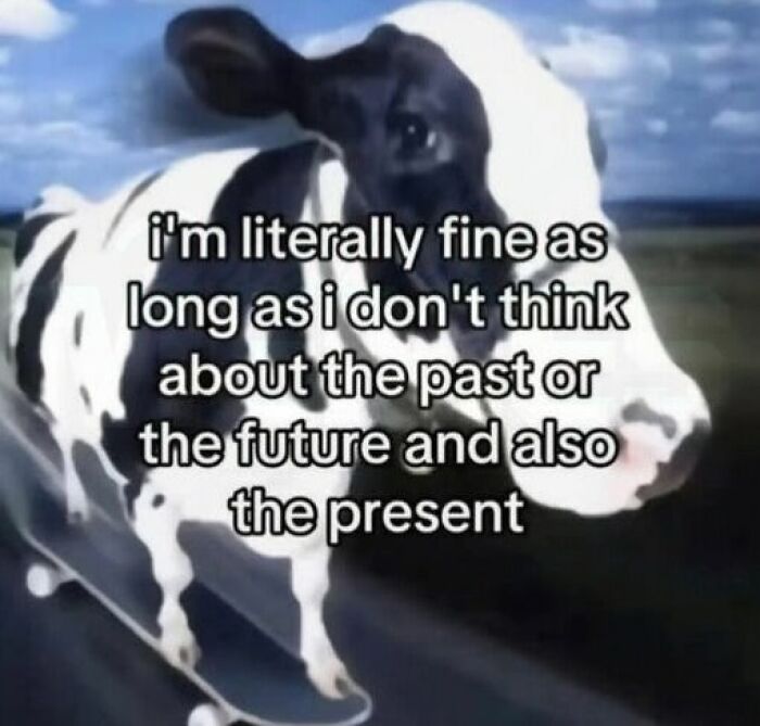 A hilarious meme of a cow on a skateboard with text about being fine as long as not thinking about past, future, or present.