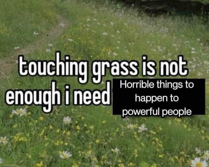 Text overlaying a field of grass reads touching grass is not enough I need horrible things to happen to powerful people, a funny meme.
