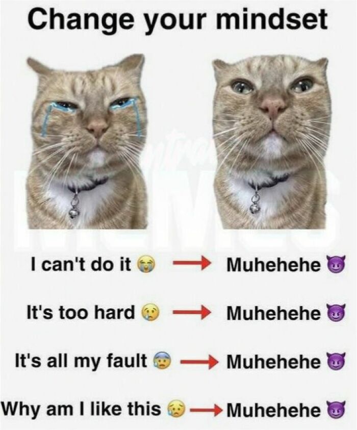 Funny meme comparing a crying cat to a mischievous one to illustrate changing your mindset.