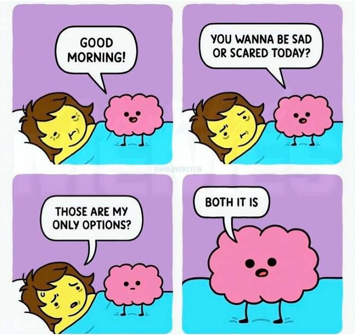 A four-panel comic meme illustrating morning options of feeling sad or scared.