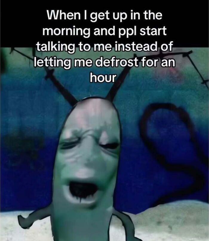 Hilarious meme of a cartoon character looking tired in the morning.