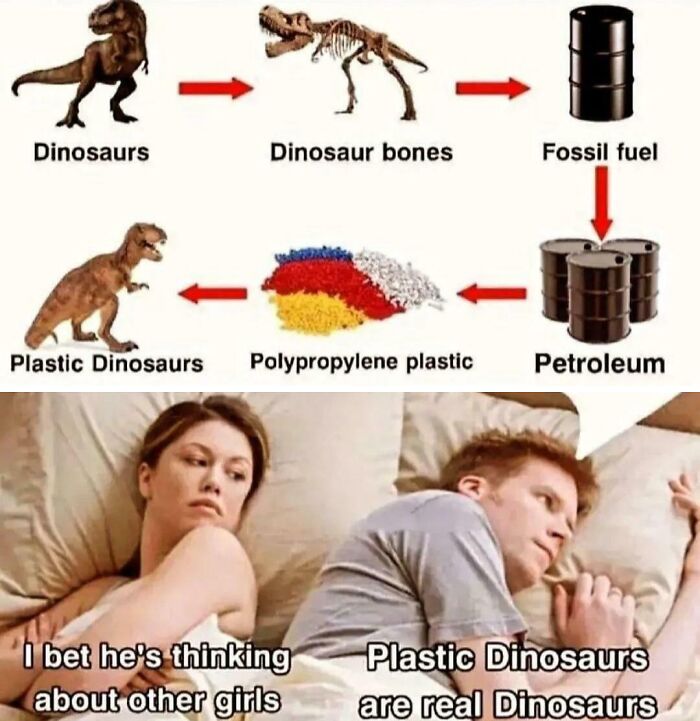 Funny meme linking dinosaurs to plastic dinosaurs and a couple in bed, to deal with your hard day.