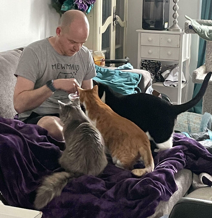 A man sitting on a couch, surrounded by three cats, feeding them treats.