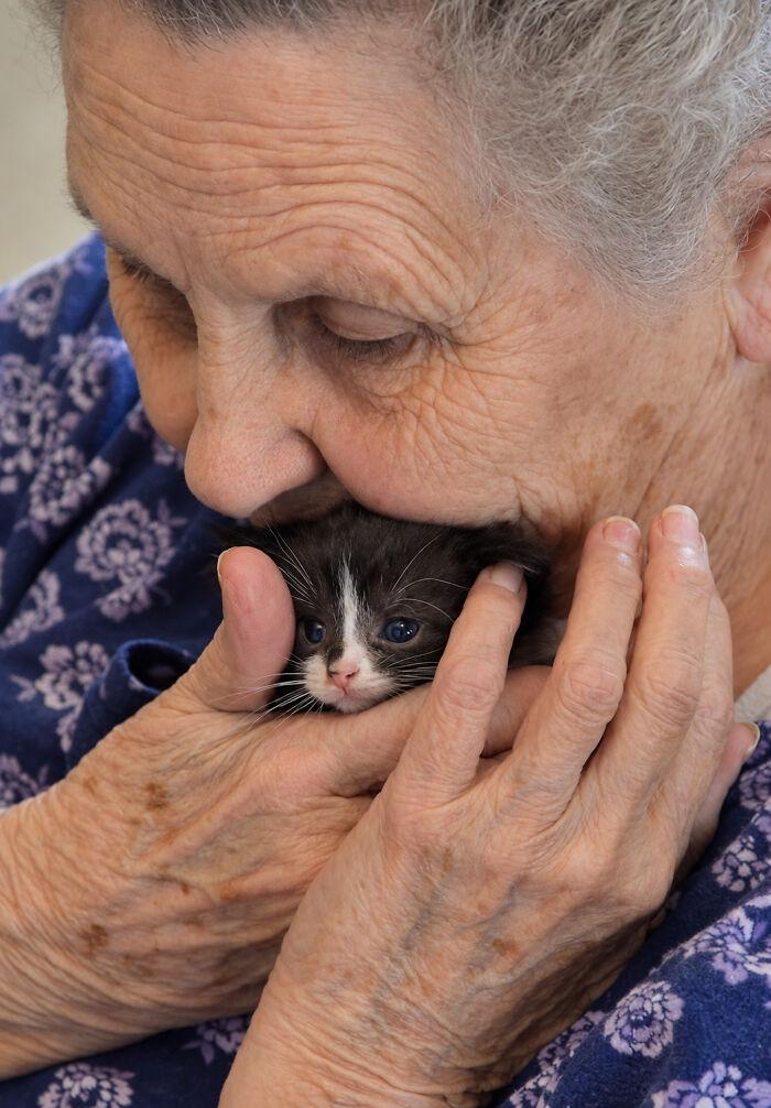 We Found These Hilarious And Heartwarming Cat Photos On The “Meaaaow” Facebook Page (40 Pics)