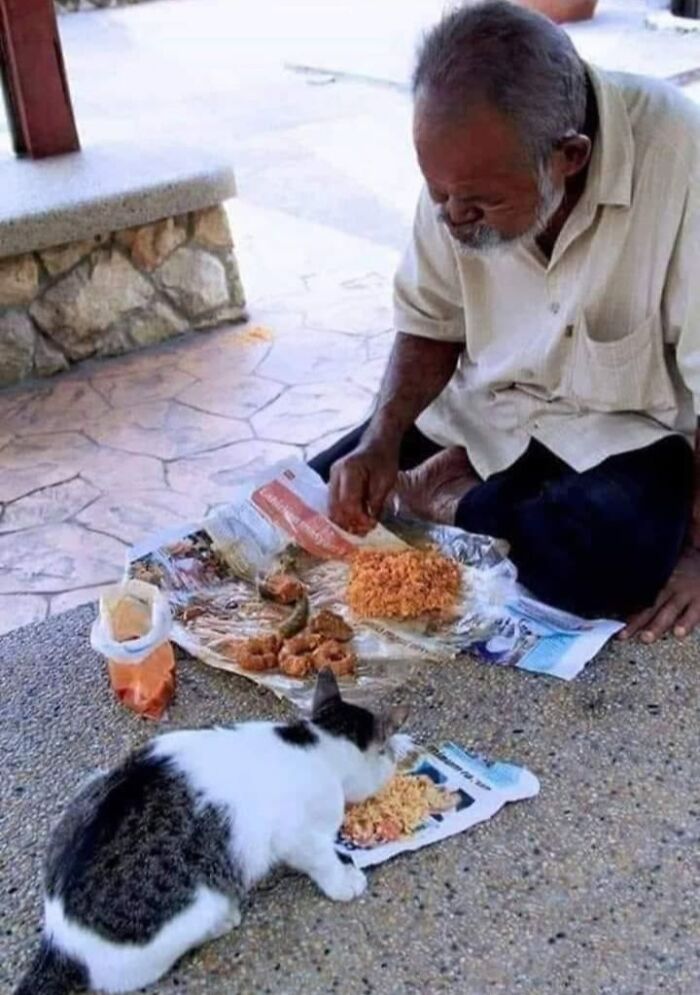 We Found These Hilarious And Heartwarming Cat Photos On The “Meaaaow” Facebook Page (40 Pics)