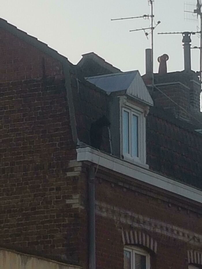 A peculiar roofline with a dormer window, appearing as one of the bizarre things.