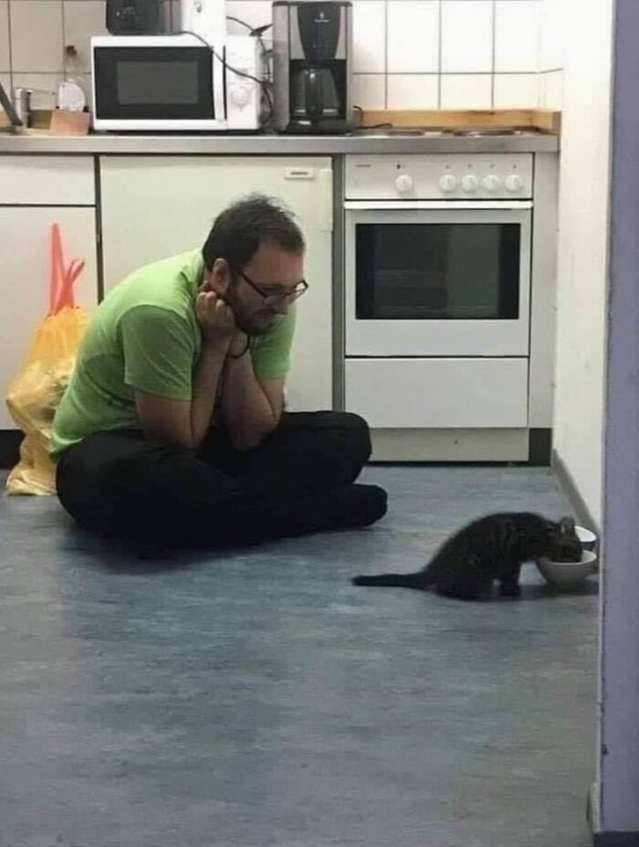 We Found These Hilarious And Heartwarming Cat Photos On The “Meaaaow” Facebook Page (40 Pics)