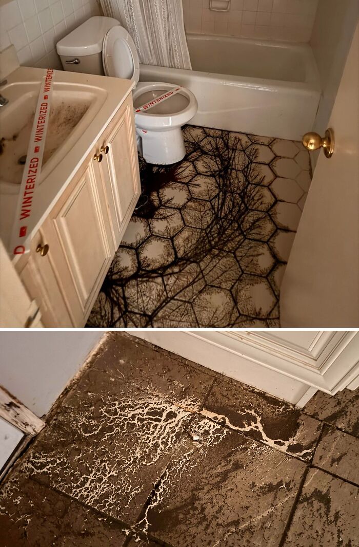 Truly bizarre bathroom floor covered in mold and a winterized toilet, showing things people had to take a photo of.