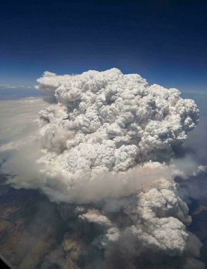 A truly bizarre image of a massive smoke cloud, making viewers hallucinate a strange, otherworldly scene.