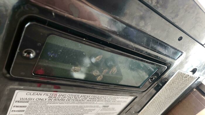 A truly bizarre sight of corn kernels visible through a window in an appliance.