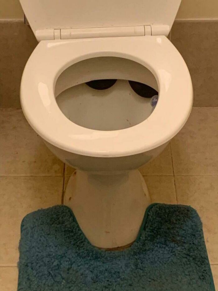 A pair of sunglasses rests at the bottom of a toilet bowl, a truly bizarre thing to take a photo of.