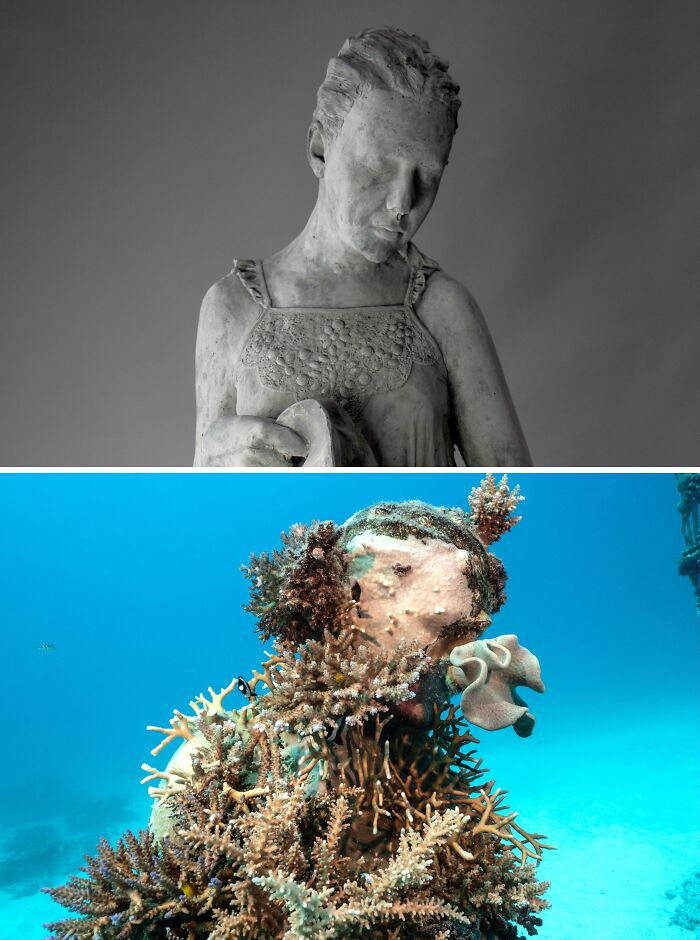 Top: A young woman sculpture looking down. Bottom: An underwater sculpture covered in vibrant coral, supporting marine life.