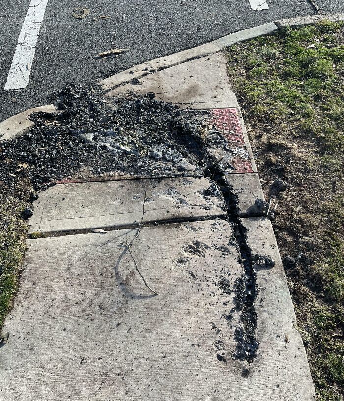 A truly bizarre sight of a burnt trail on a sidewalk next to a road, making sure they're not hallucinating.