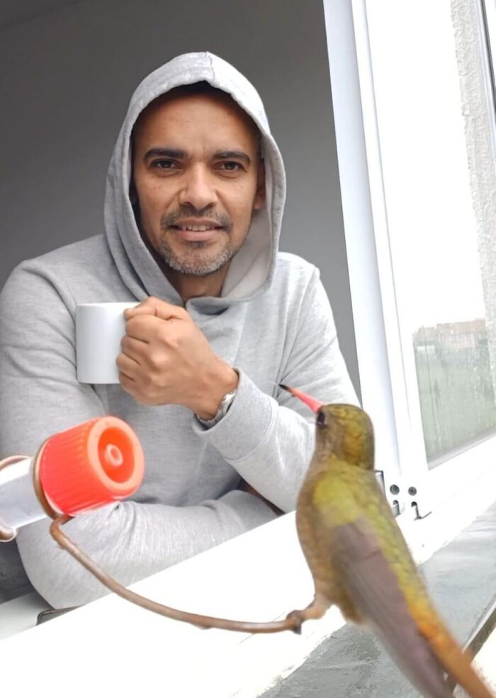 A Brazilian man sips coffee as a hummingbird perches on his window sill, part of his bird restaurant.