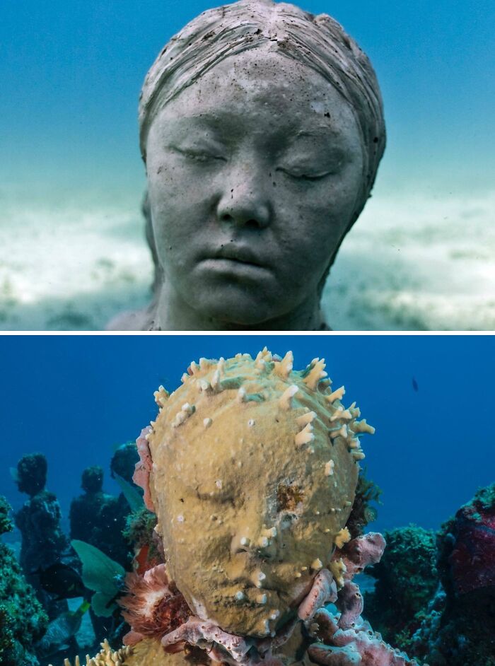 Two underwater sculptures showcasing marine life, an art gallery on the ocean floor.
