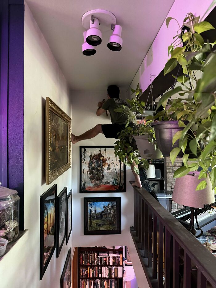 A man climbs a wall to hang artwork, demonstrating he found the right man.