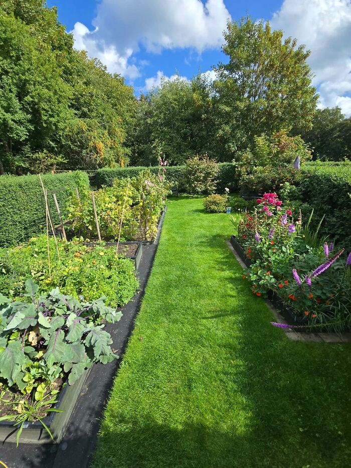 A beautiful garden, reflecting the shared life and sweet proof of finding the right man after 40 years together.