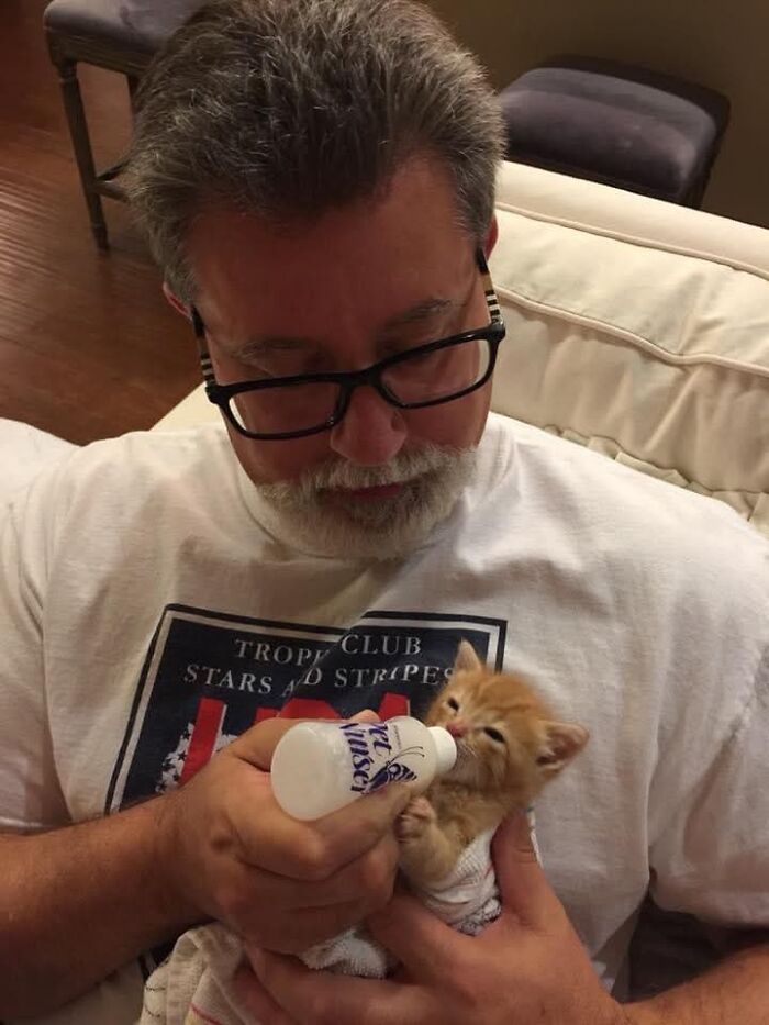 A man with a beard and glasses bottle-feeding an orange kitten. Sweetest proof of finding the right man.