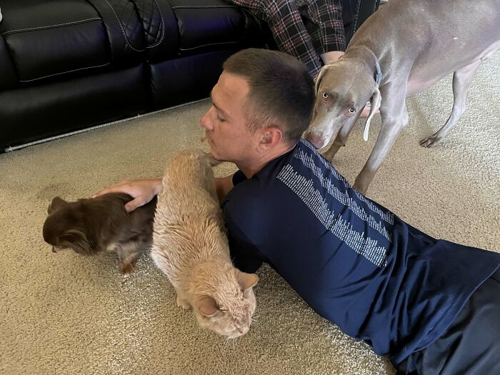 A man lying on the floor, petting two cats, with a dog behind him, showing sweet proof of finding the right man.