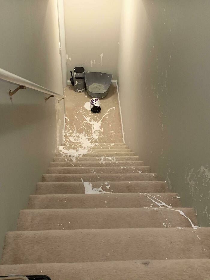 Questionable home improvement project: a large spill of white paint down a carpeted staircase and on the landing.
