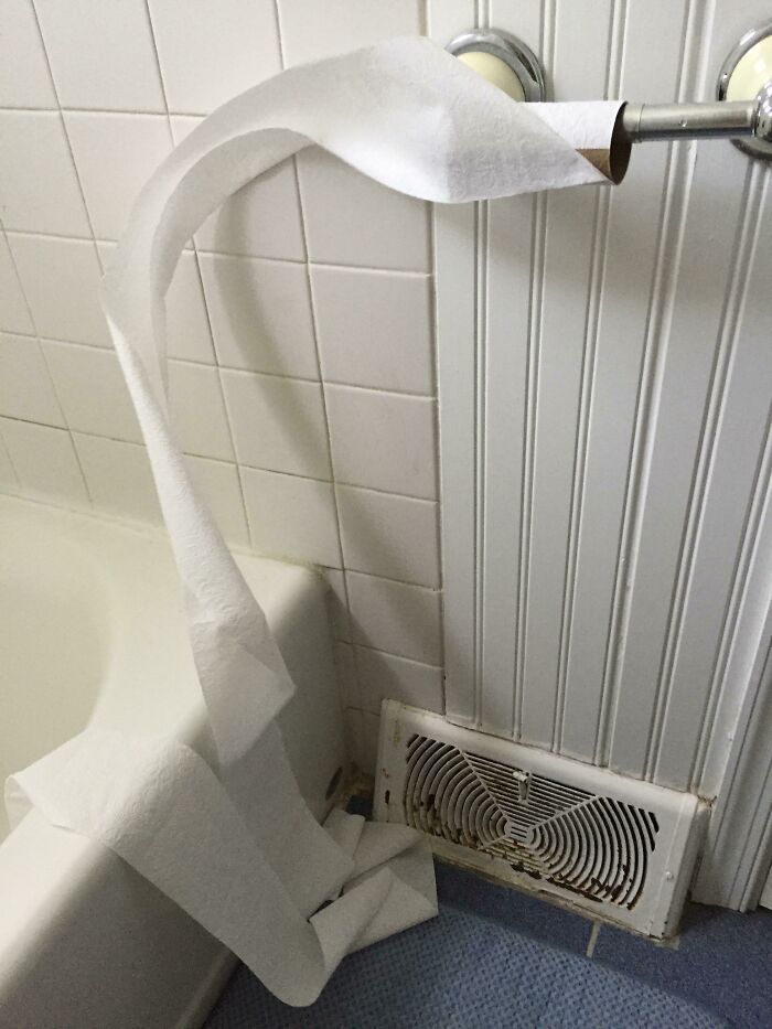 A roll of toilet paper almost entirely unspooled onto the bathroom floor, an example of questionable home improvement projects.