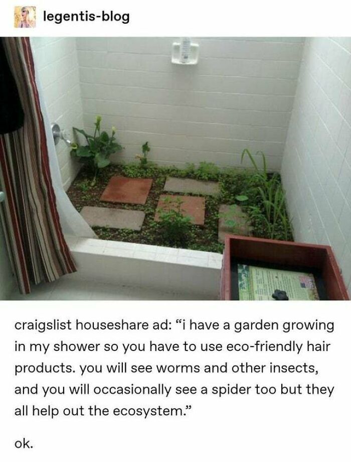 A shower stall converted into a garden with plants and stepping stones, reflecting questionable home improvement.