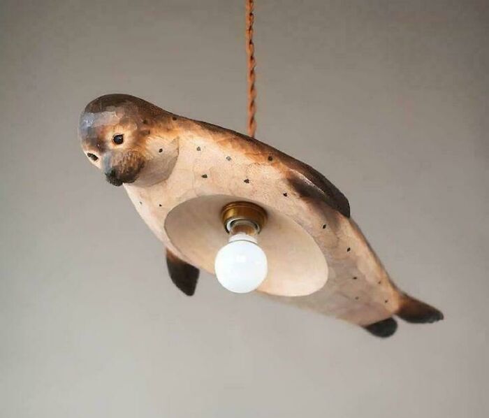 A seal-shaped light fixture with a bulb in its belly, demonstrating questionable results from home improvement projects.