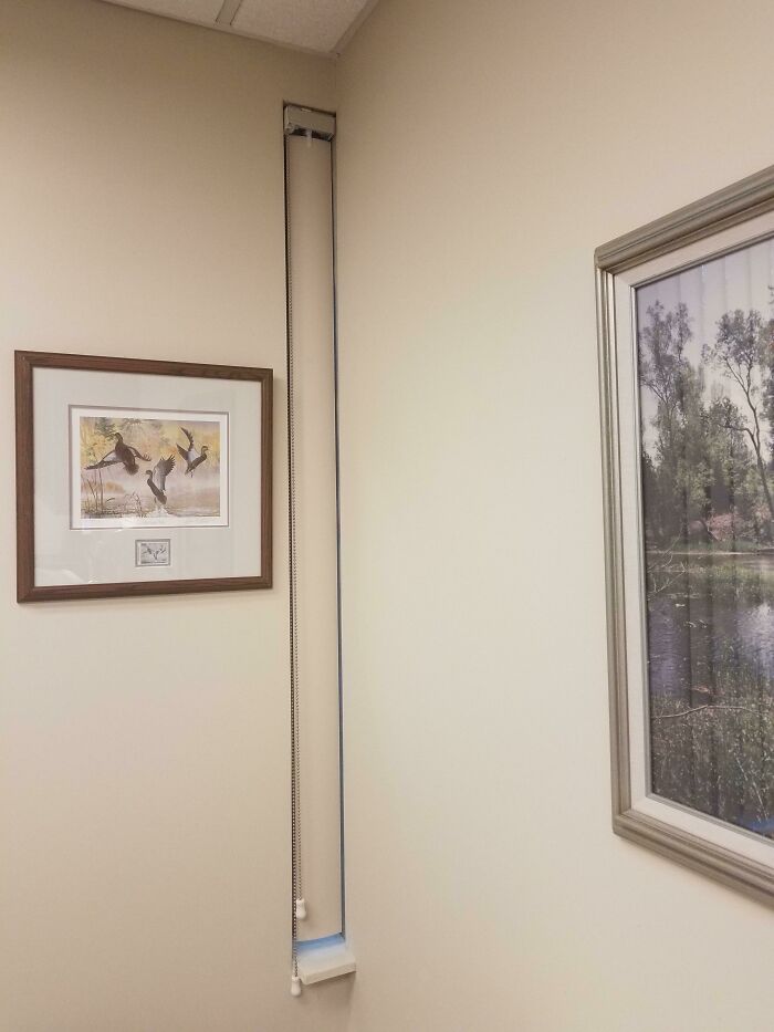 Questionable home improvement project: an extremely narrow blind on a wall between two framed pictures.