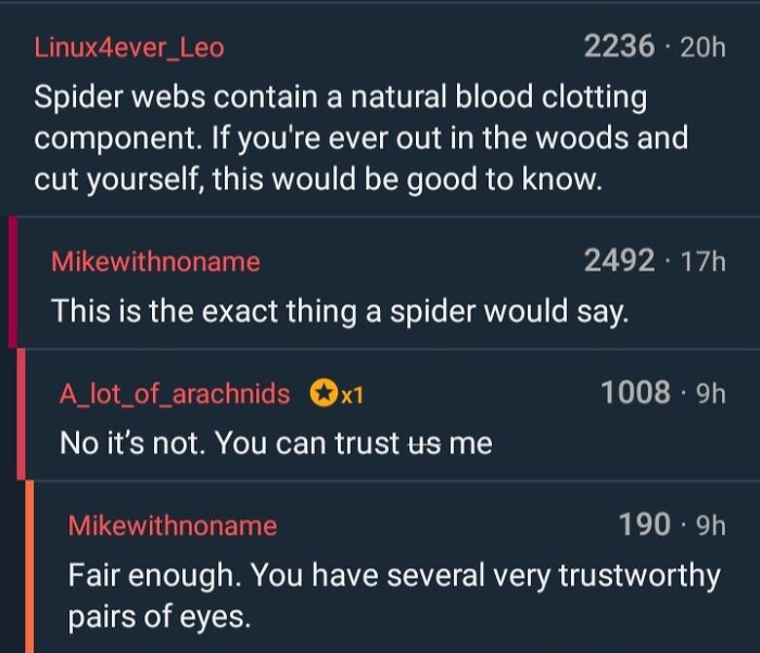 A funny Reddit thread where users discuss spiders, emphasizing the importance of reading the comments for humorous interactions.