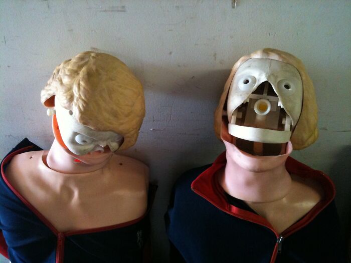 Two medical training mannequins with partially removed faces, revealing internal mechanisms, showcasing unhinged secondhand finds.