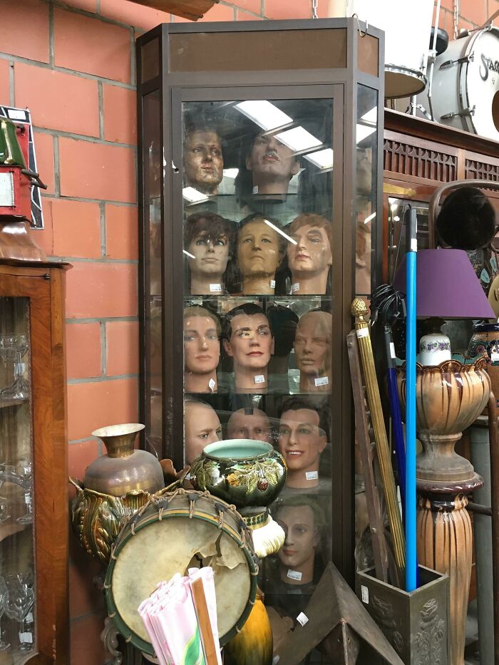 A display cabinet full of mannequin heads, a collection of unhinged secondhand finds and cursed treasure.