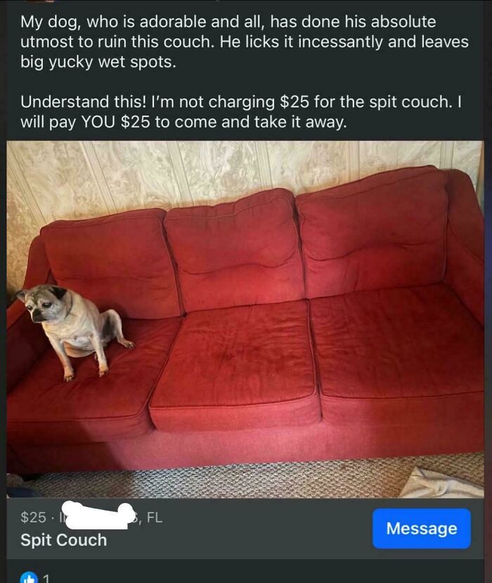 A listing for a secondhand couch described as a spit couch due to dog licking. A cursed treasure find.
