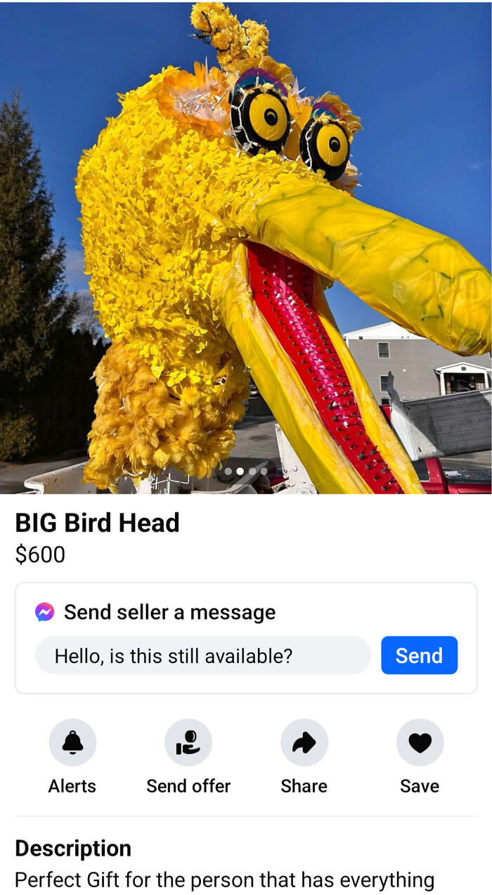 A giant, unhinged Big Bird head, among other cursed secondhand finds.