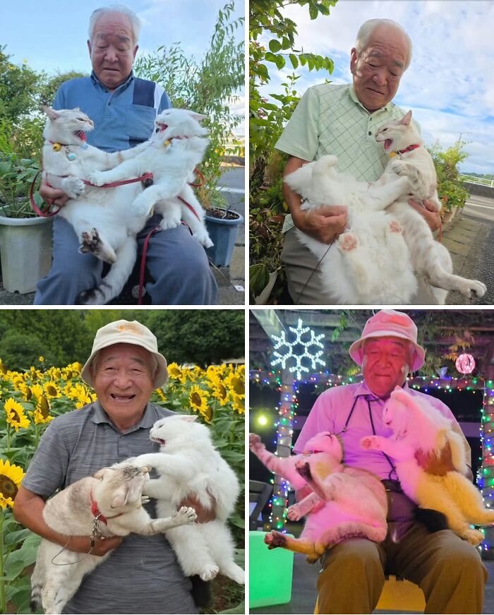 Hilarious photos: A collage of four images of an elderly man holding two cats that appear to be fighting.
