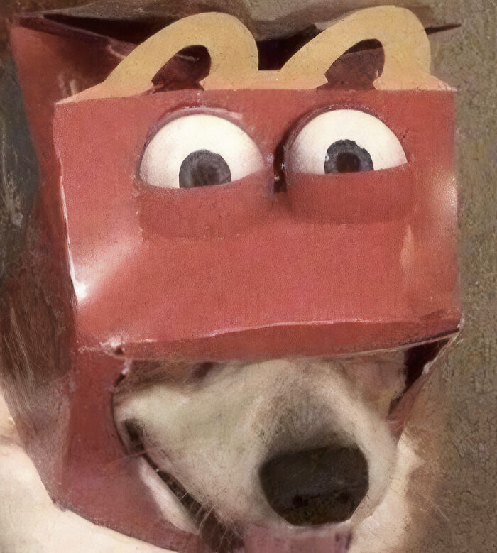 Hilarious photo of a dog wearing a Happy Meal box costume, a funny moment shared on the internet.
