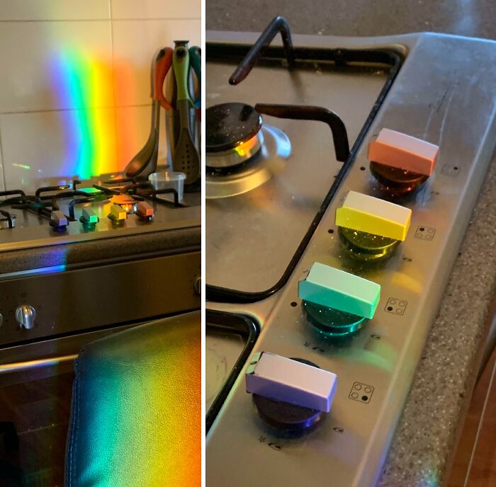 La luz del sol que atravesaba mi acuario se alineaba perfectamente con cada perilla.