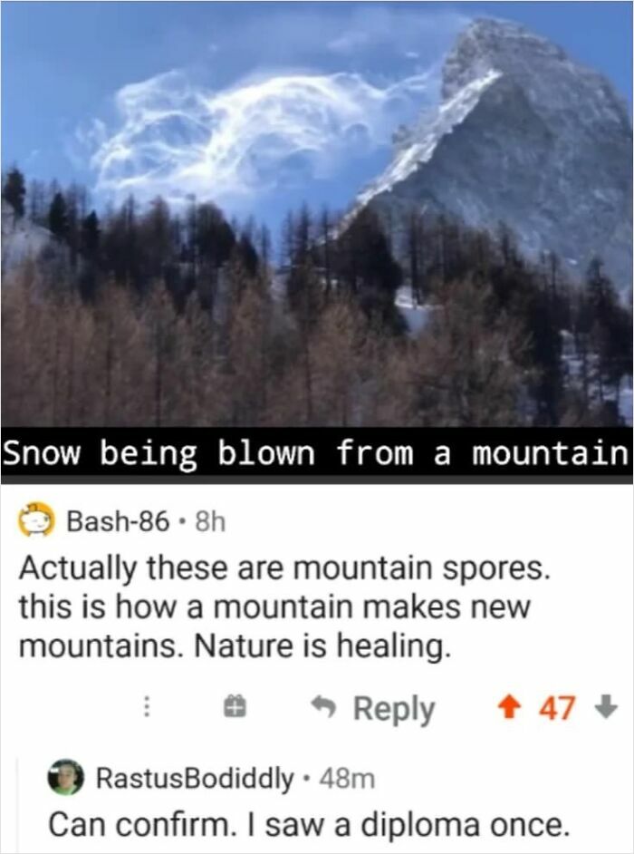 A Reddit thread showing snow blowing from a mountain, with humorous comments about 'mountain spores' and seeing a 'diploma'. Read the comments.