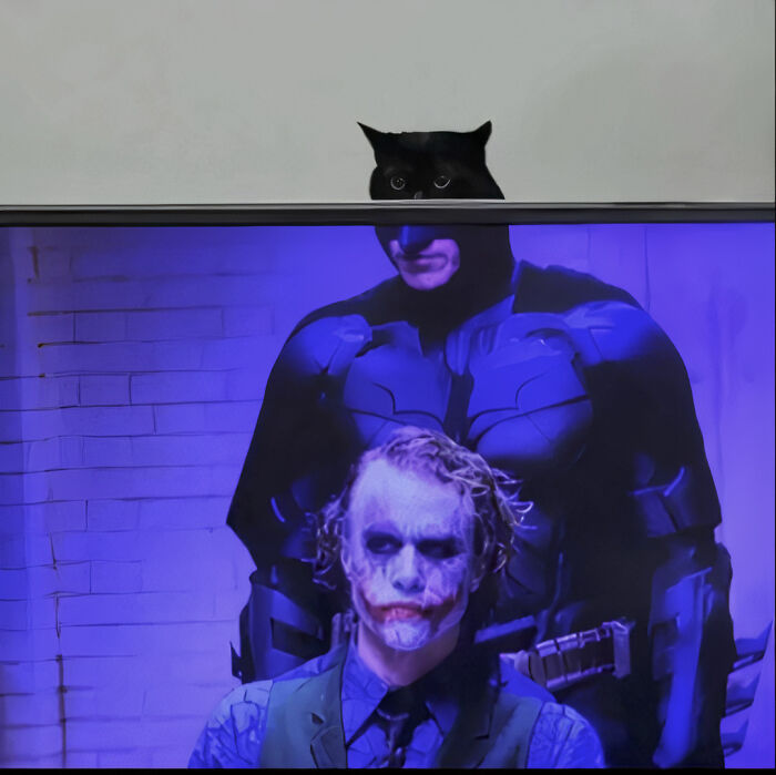A black cat peeking over a TV displaying Batman and the Joker, an internet hilarious photo.