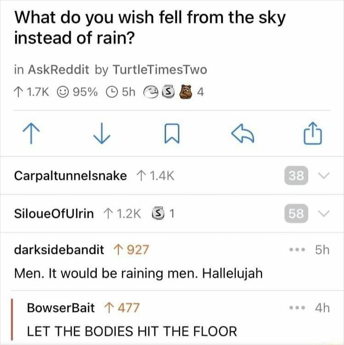 Screenshot of Reddit comments discussing what users wish would fall from the sky instead of rain, with funny responses.