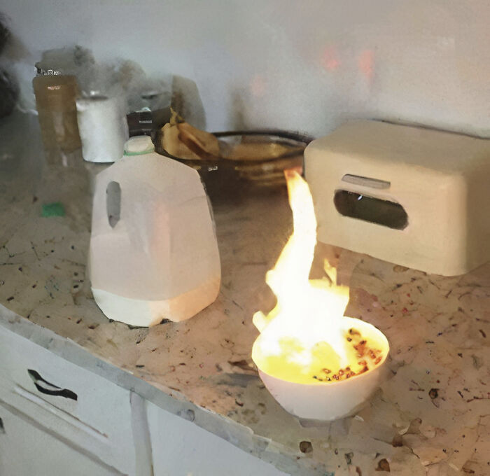 A bowl of food on fire on a kitchen counter, a hilarious photo.